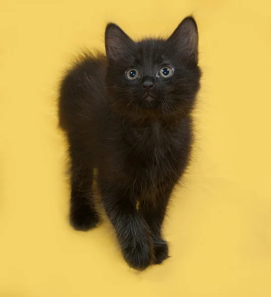 Small fluffy black kitten going on yellow — Stock Photo, Image