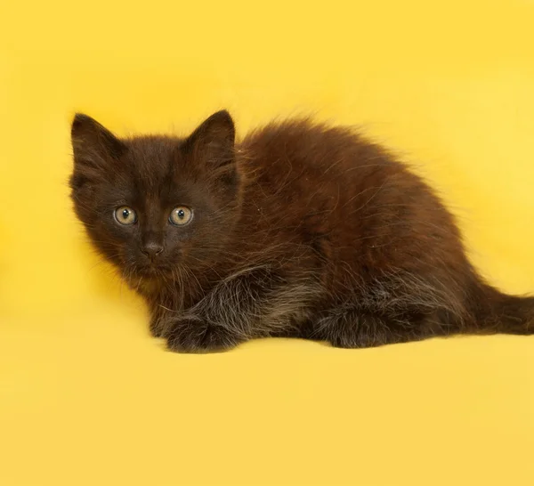 Černé kotě ležící na žluté — Stock fotografie