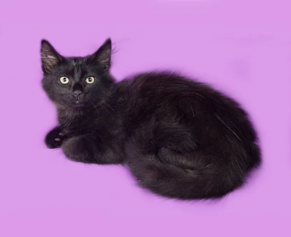 Black fluffy kitten lies on lilac — Stock Photo, Image