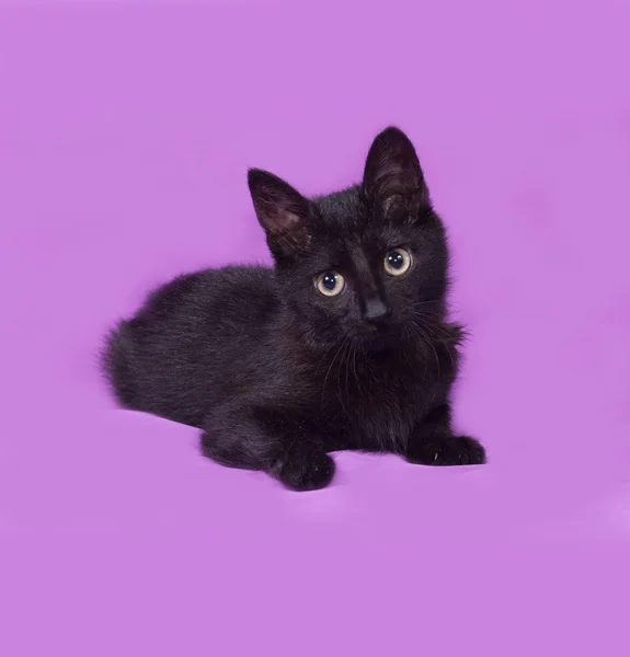 Black kitten lying on lilac — Stock Photo, Image