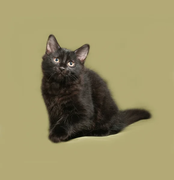 Gatinho fofo preto senta no verde — Fotografia de Stock