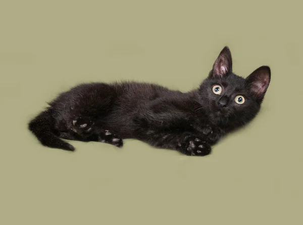 Chaton noir se trouve sur le vert — Photo