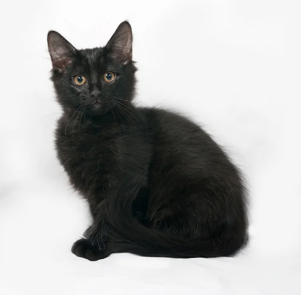 Black fluffy kitten sitting on gray — Stock Photo, Image