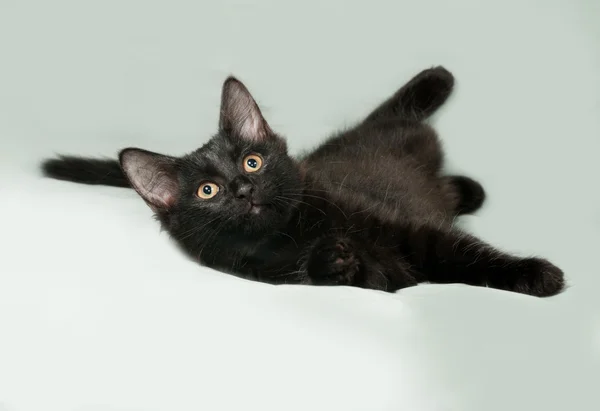 Black fluffy kitten sits on gray — Stock Photo, Image