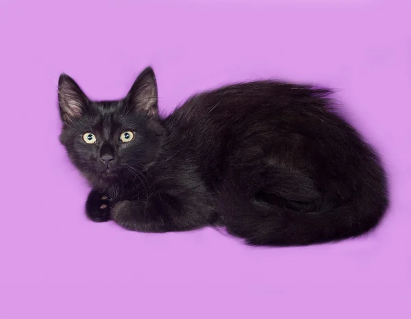 Black fluffy kitten lies on lilac — Stock Photo, Image