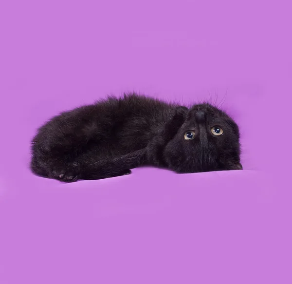Black kitten lying on lilac — Stock Photo, Image