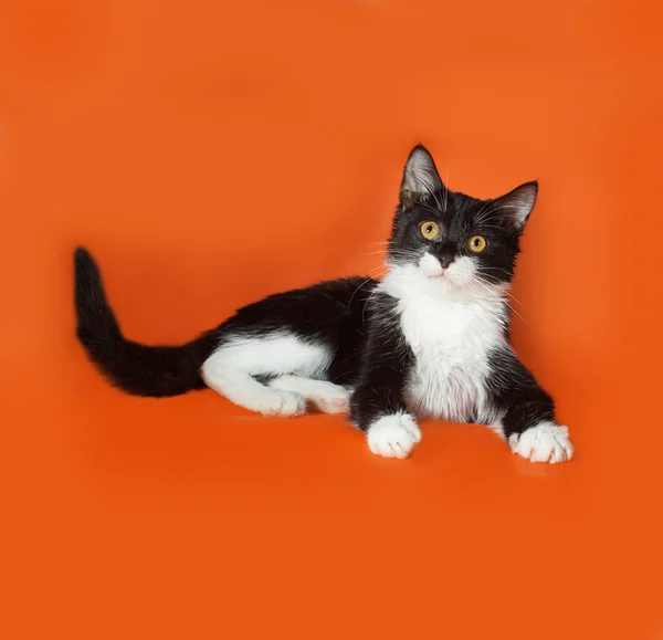 Negro y blanco gatito mentiras en naranja — Foto de Stock