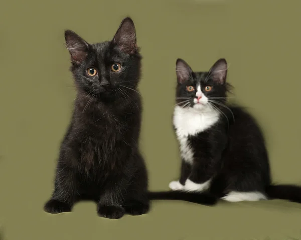 Два котенка сидят на зеленом — стоковое фото