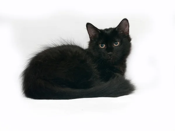 Черный пушистый котёнок лежит на сером — стоковое фото