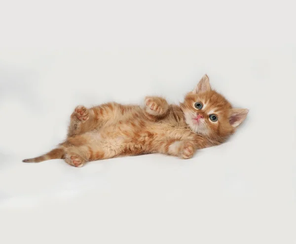 Red fluffy kitten lies on gray — Stock Photo, Image