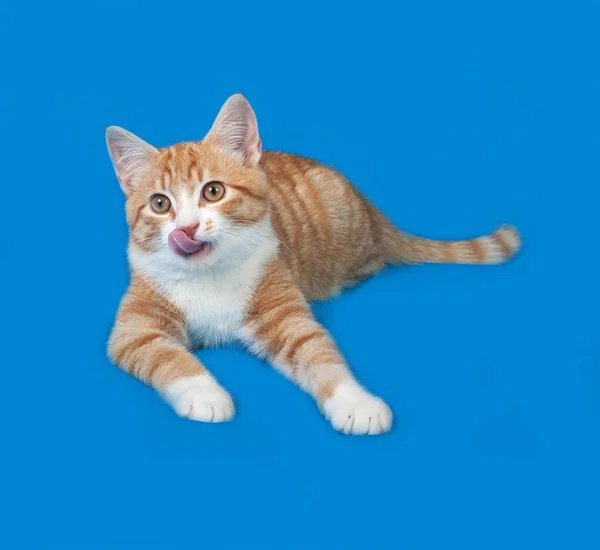 Red and white striped kitten lying on blue — Stock Photo, Image