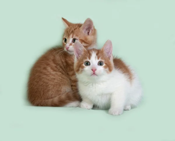 Dos gatitos rojos y blancos sentados en verde — Foto de Stock