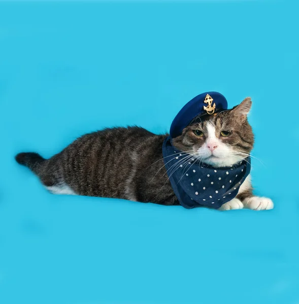Staré prokládané a bílá kočka v námořnická uniforma s víčkem leží na modré — Stock fotografie