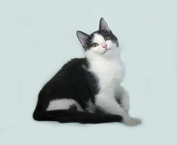 Branco e preto manchado gatinho sentado no verde — Fotografia de Stock