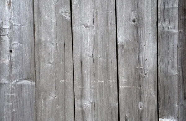 Texture of old green fence — Stock Photo, Image