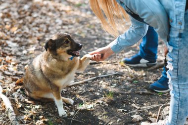 Önünde köpek patisi olan genç bir kadın.
