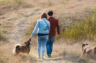 Genç kadın ve adam çayırda iki köpekle yürüyorlar.