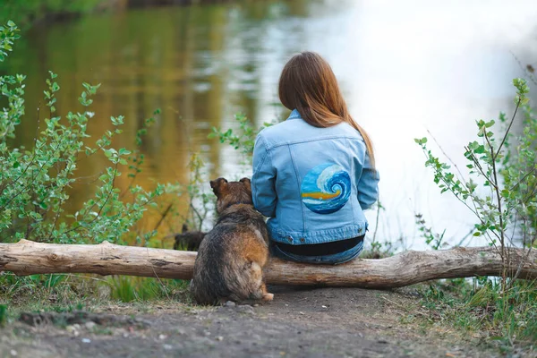 Mulher Sentada Log Com Cão Margem Lago — Fotografia de Stock