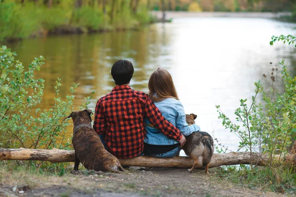 一对夫妇和两只狗坐在湖边的圆木上 — 图库照片