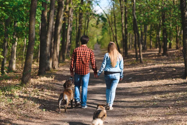 Jovem Homem Mulher Caminhando Com Dois Cães Caminho Ensolarado Floresta — Fotografia de Stock