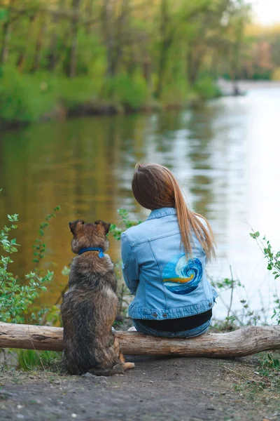 Genç Kadın Köpek Göl Kıyısında Kütükte Oturuyorlar — Stok fotoğraf