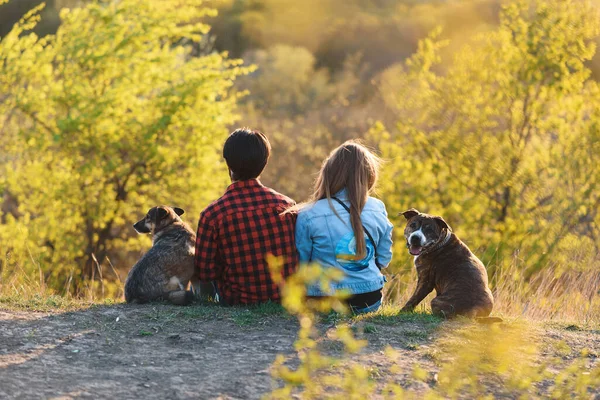 Casal Com Dois Cães Sentados Colina Desfrutando Vista Para Parque — Fotografia de Stock