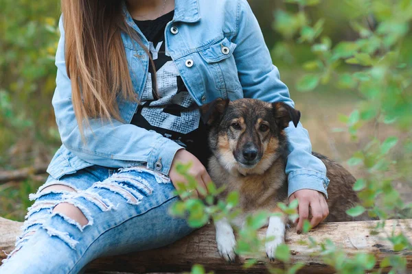 Vrouw Jeans Zitten Log Met Haar Schattige Hond Stockfoto