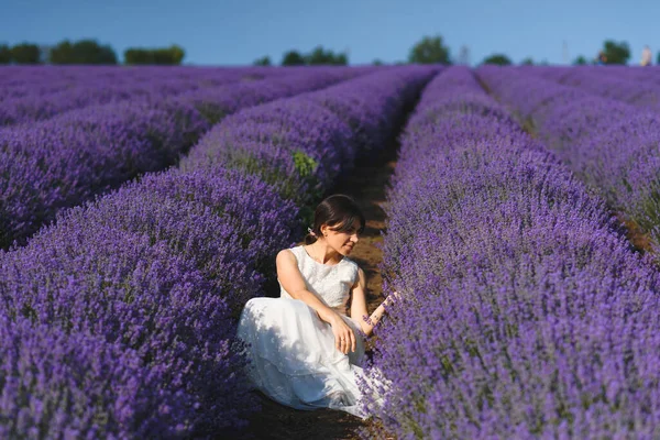 Mulher Vestido Branco Sentado Campo Lavanda Luz Sol — Fotografia de Stock