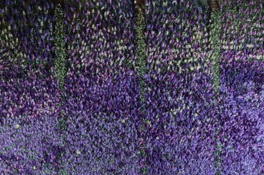 Lavanta çiçek, yapay çiçek, hacimsel ışık, genel görünüm, canlı arka plan, iyi doku duvar