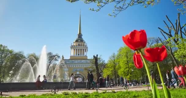 Russland, heiliger petersburg, 08 mai 2016: das admiralitätsgebäude bei klarem wetter, der große brunnen auf dem platz, die menschen gehen und feiern den mai, rote tulpen, grüne bäume und ein gras — Stockvideo