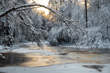 Kış ormanındaki küçük vahşi nehir, günbatımındaki vahşi doğa, kırmızı renk nehri, buz, karla kaplı ağaçlar.