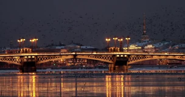 De panoramische beelden van de winternacht stad Sint-Petersburg, Blagoveshchensky Bridge, de brug van luitenant Schmidt, een onbeweeglijk nachtelijk panorama, veel vogels, Admiraliteitsgebouw — Stockvideo