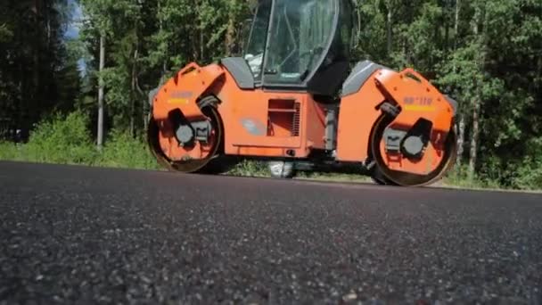 Russia, St.Petersburg, 28 June 2019: Laying of the new asphalt, special cars, skating rink, the road in the wood, forest, green trees, sunny day — Stock Video