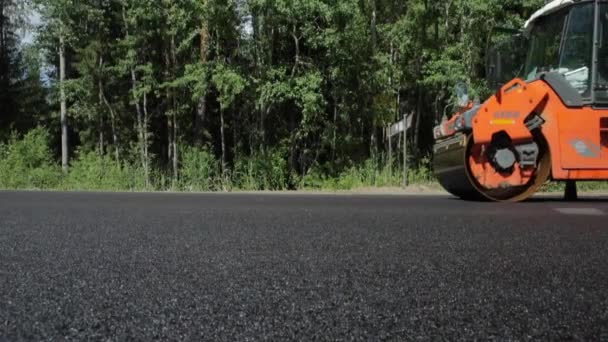 Rusia, San Petersburgo, 28 de junio de 2019: Colocación del nuevo asfalto, coches especiales, pista de patinaje, el camino en el bosque, bosque, árboles verdes, día soleado — Vídeo de stock