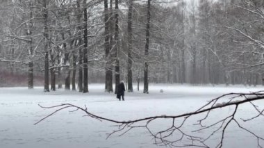 Park 'ta kar yağıyor, yaşlılar sopayla gidiyor, kış ağacı, insanlar yürüyor, ağaçların gövdesinden toplanan kalabalık perspektif olacak, tarla kuşları. Orman soyut arkaplanı