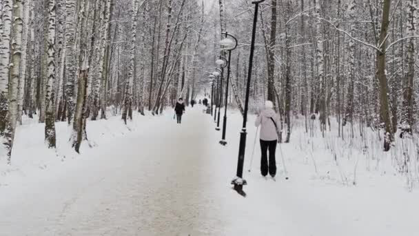 Russia, San Pietroburgo, 12 marzo 2021: La gente cammina nel parco innevato, La donna va sugli sci, Il massiccio da un tronco di alberi andando verso la prospettiva, tronchi di betulla — Video Stock
