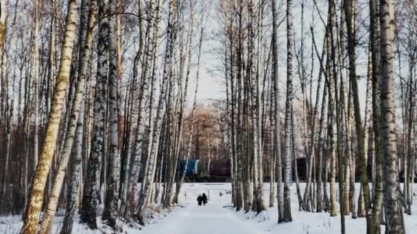 Rusia, San Petersburgo, 12 de marzo de 2021: El tren de carga de la compañía ferroviaria rusa RZD a través de la madera cubierta de nieve, ferrocarril, personas que caminan, tanques, troncos de árboles de color negro — Vídeos de Stock