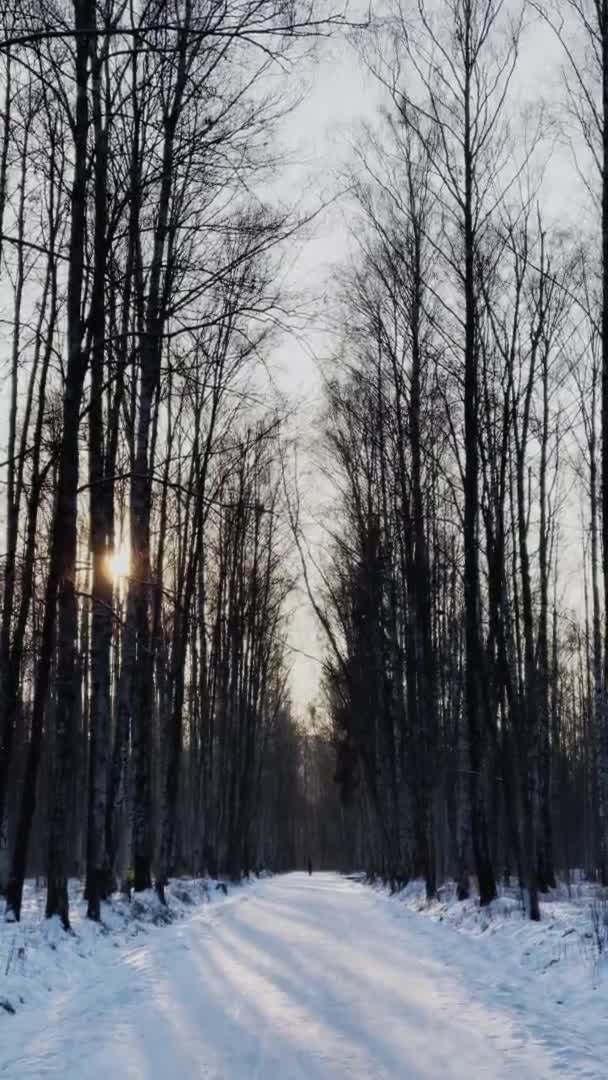 Rusia, San Petersburgo, 22 de diciembre de 2020: El tren de carga de la compañía ferroviaria rusa RZD a través de la madera cubierta de nieve, ferrocarril, personas que caminan, tanques, troncos de árboles de color negro — Vídeo de stock