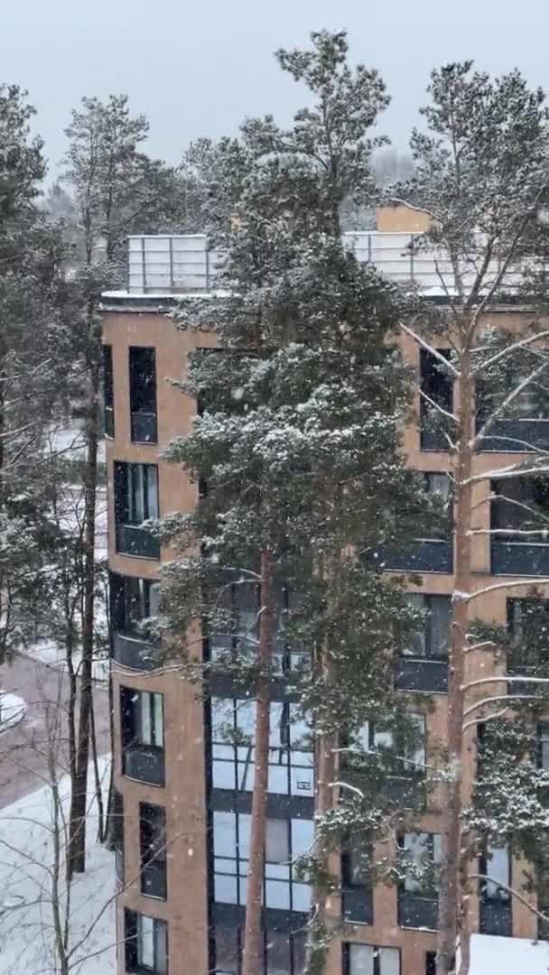 Rosja, Sankt Petersburg, 19 stycznia 2021 r.: Piękny dobrze zaplanowany dziedziniec osiedla w lesie, pada śnieg, pokryte śniegiem drzewa, piękna fasada, duże okna, plac zabaw dla dzieci — Wideo stockowe