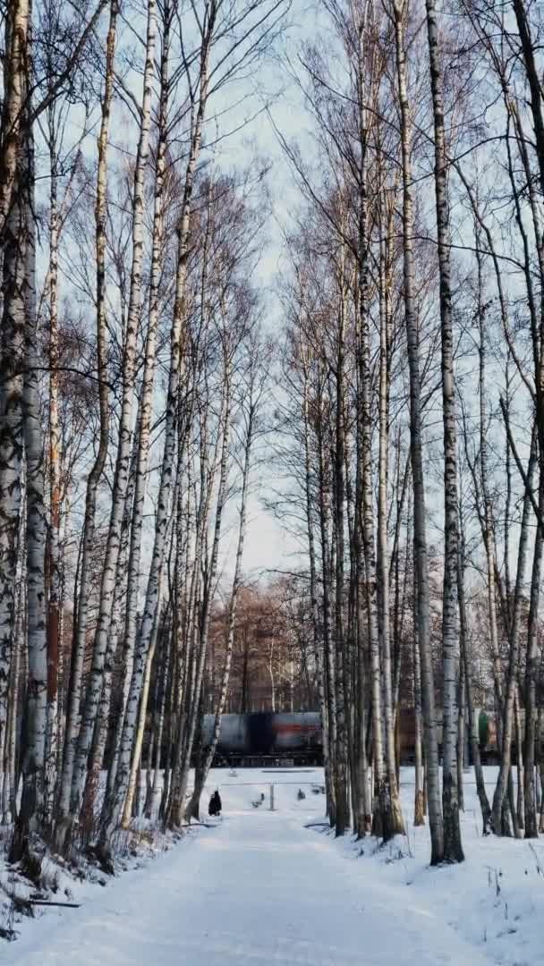 Rusia, San Petersburgo, 12 de marzo de 2021: El tren de carga de la compañía ferroviaria rusa RZD a través de la madera cubierta de nieve, ferrocarril, personas que caminan, tanques, troncos de árboles de color negro — Vídeo de stock