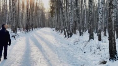 Kış parkının yüksek kaliteli görüntüleri, yürüyen insanlar, gün batımında siyah ağaç gövdelerinin uzun gölgeleri, güneşin yansıması.