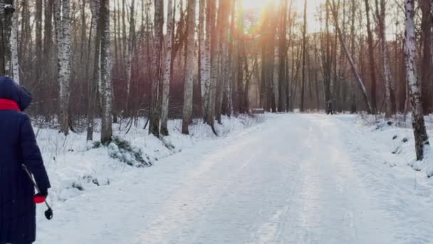 Hoge kwaliteit beelden van winterpark, wandelende mensen, lange schaduw van zwarte boomstammen bij zonsondergang, reflectie van de zon — Stockvideo