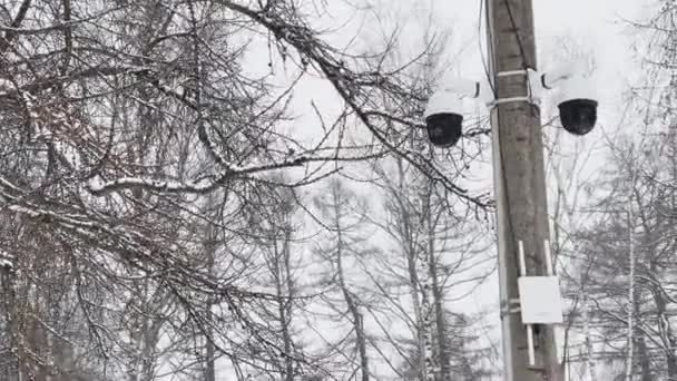 Rusia, San Petersburgo, 22 de marzo de 2021: La cámara de vigilancia cuelga de una columna de hormigón, un enrutador de una comunicación inalámbrica con antenas, los árboles sin hojas sobre un fondo — Vídeos de Stock