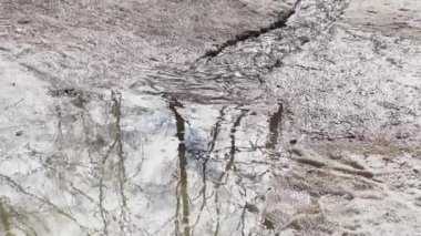 Nehir, baharın ilk günlerinde parktaki buz ve kir içinde akar. Göletteki ağaçların yansıması, güneşli bir gün.