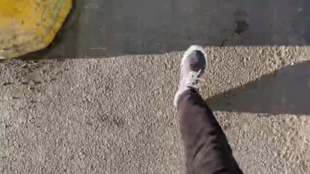 Mans botas negras van sobre asfalto seco en día soleado, zapatillas deportivas, botas con cordones, pantalones de color negro, la vista superior, de cerca, Columnas De piedras de color amarillo — Vídeos de Stock
