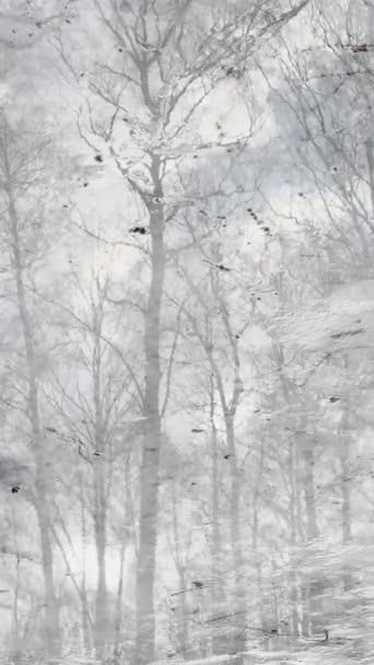 De beek stroomt door ijs en vuil in het park in de eerste dagen van de lente, reflectie van bomen in een plas, een zonnige dag — Stockvideo