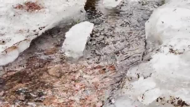 Nehir, baharın ilk günlerinde parktaki buz ve kir içinde akar. Göletteki ağaçların yansıması, güneşli bir gün. — Stok video