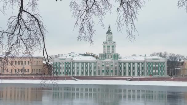 St. Petersburg 'un karla kaplı seti, Antropoloji Müzeleri ve Pyotr Etnografisi' nin olanaksız kış manzarası Rus Bilimler Akademisi, tuhaflıklar kabinesi — Stok video