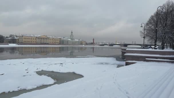 A paisagem de inverno pitoresca do dique coberto de neve de São Petersburgo, Museus de Antropologia e Etnografia da Academia Russa de Ciências, Ponte do Palácio, Fortaleza de Peter e Paul — Vídeo de Stock