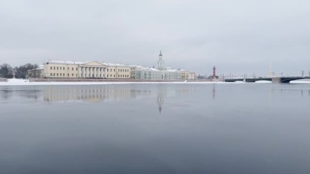 Le paysage hivernal pittoresque du remblai enneigé de Saint-Pétersbourg, les musées d'anthropologie et d'ethnographie de l'Académie russe des sciences, le pont du palais, la forteresse Pierre et Paul — Video